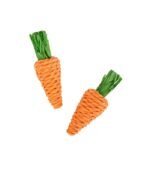 Frisco Carrot Small Pet Toy